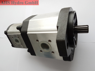 Hydraulikpumpe Zettelmeyer ZL1001E  0510769012,  0510769014,  0510769023,  AZPGF-11-045/016RDC2020MB